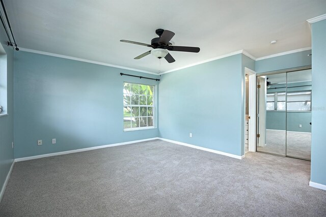 empty room with ceiling fan, crown molding, and carpet