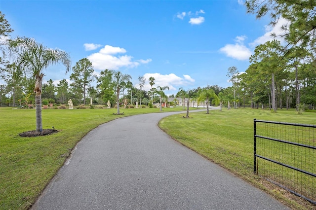 view of home's community featuring a yard