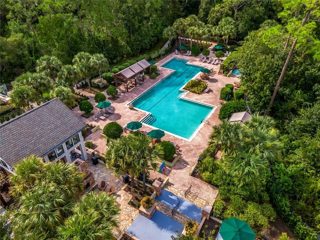 view of swimming pool with a patio