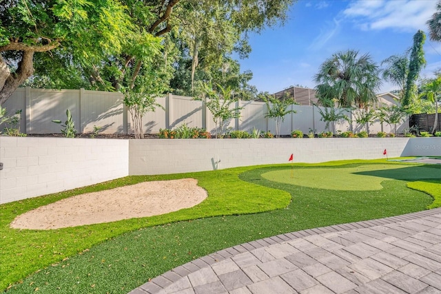 view of yard featuring a patio