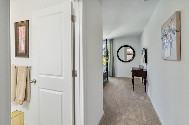 hallway with light carpet