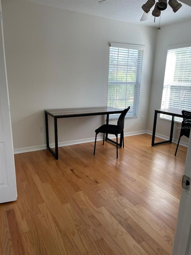 office space with plenty of natural light, ceiling fan, and light wood-type flooring