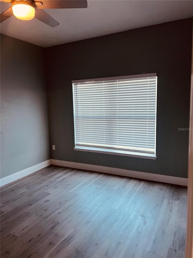 unfurnished room featuring light wood-type flooring and ceiling fan