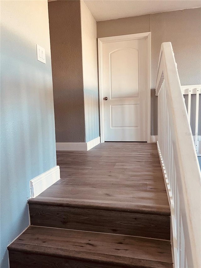 stairs featuring hardwood / wood-style flooring