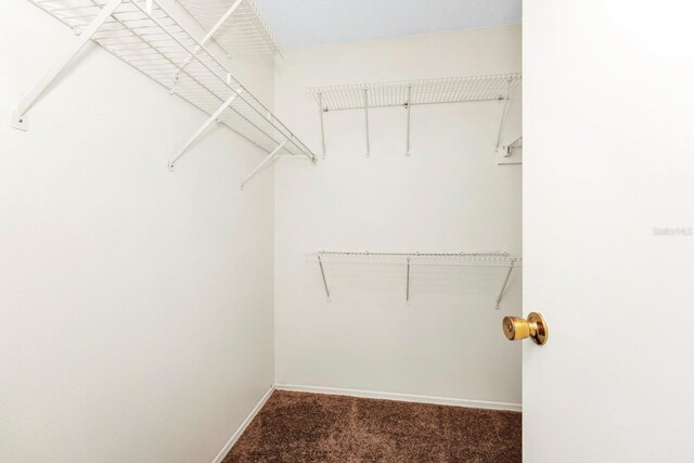 walk in closet with dark colored carpet