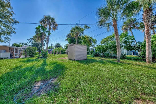 view of yard with a storage unit