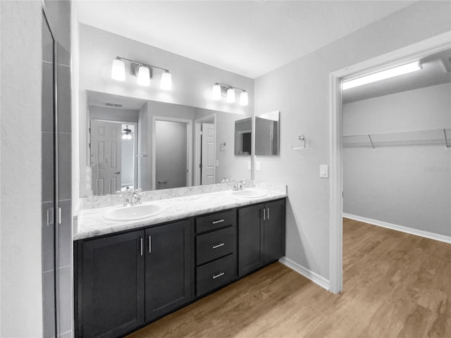 bathroom with hardwood / wood-style flooring and vanity