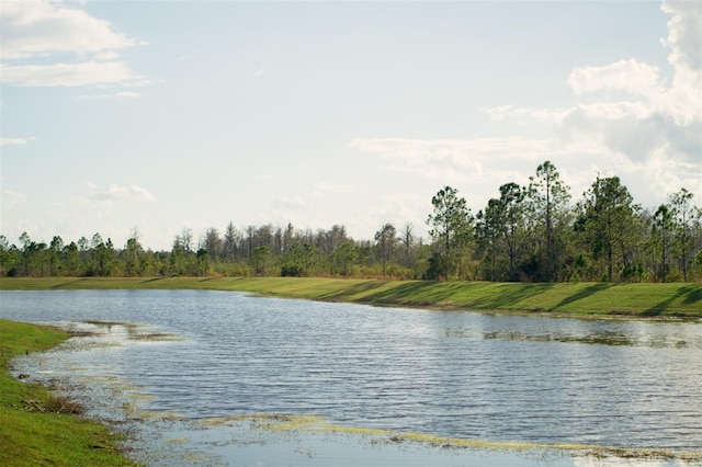 view of water feature