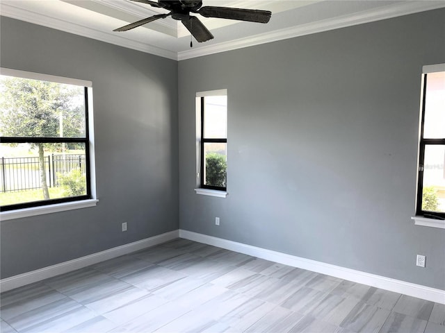 spare room with ceiling fan and ornamental molding