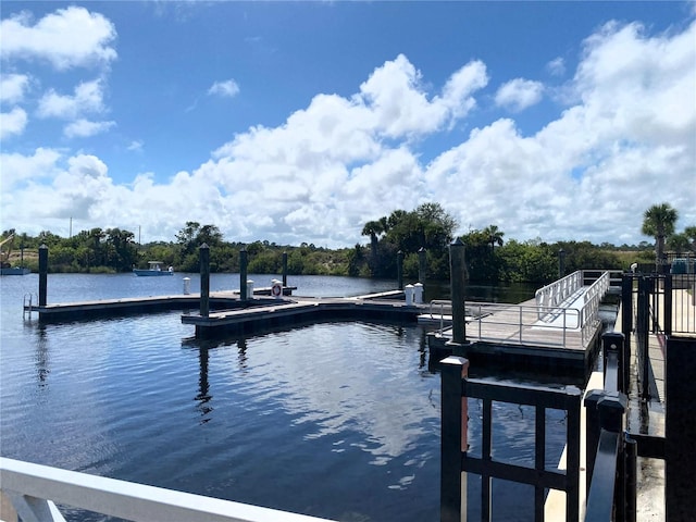 dock area with a water view