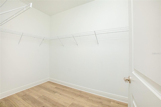 walk in closet featuring hardwood / wood-style flooring