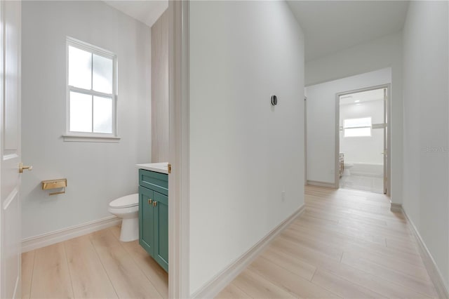 interior space with wood-type flooring, vanity, and toilet