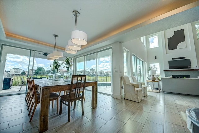 dining room featuring a tray ceiling and ceiling fan