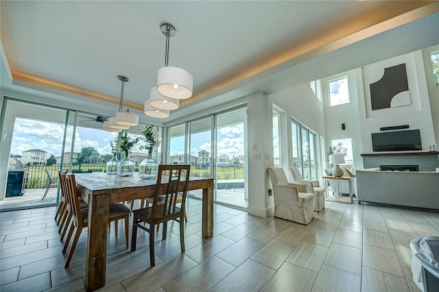 dining area featuring a raised ceiling