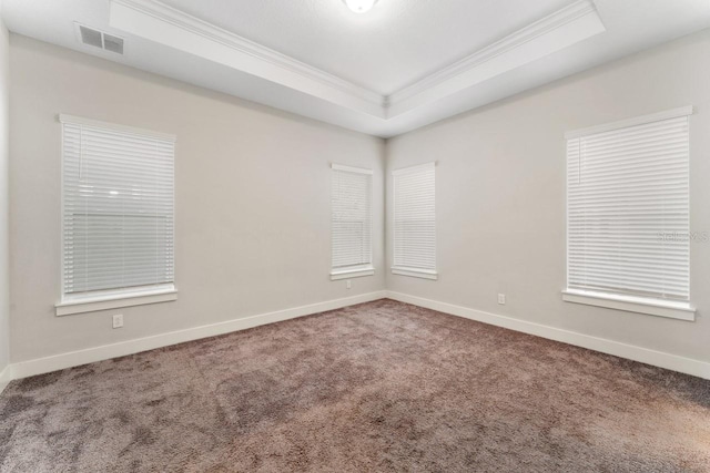 carpeted spare room with ornamental molding and a raised ceiling