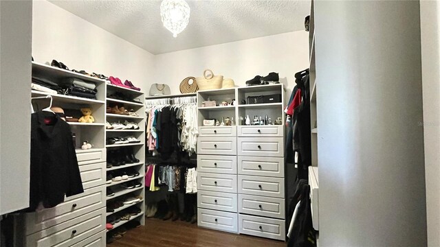 spacious closet featuring dark hardwood / wood-style floors