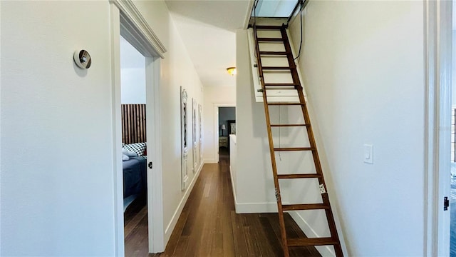 hall featuring dark wood-type flooring