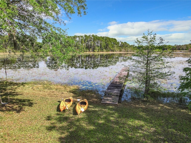 view of dock with a water view