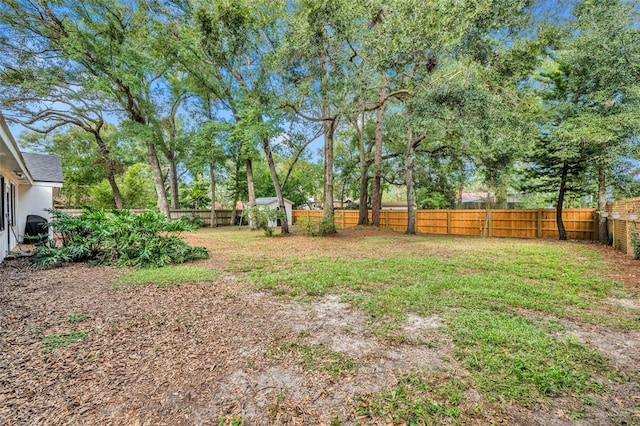 view of yard featuring a storage unit