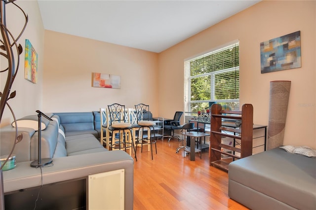 living room with light hardwood / wood-style floors