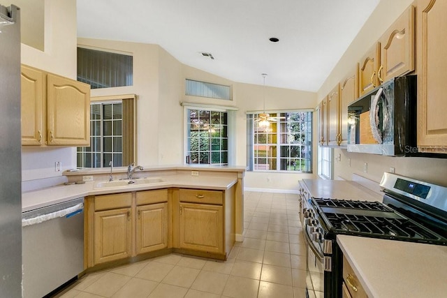 kitchen featuring sink, stainless steel appliances, a wealth of natural light, and vaulted ceiling