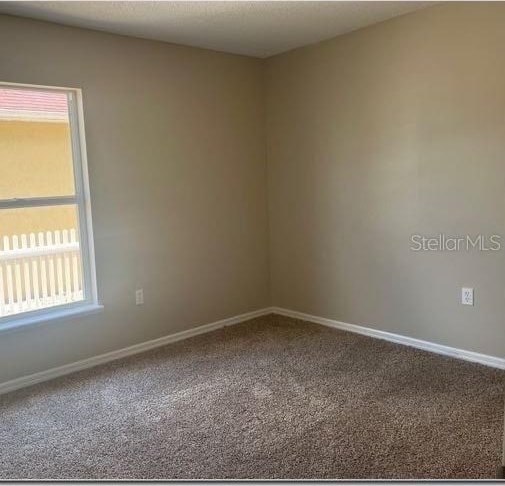 carpeted empty room with plenty of natural light