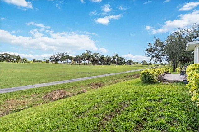 view of property's community with a yard