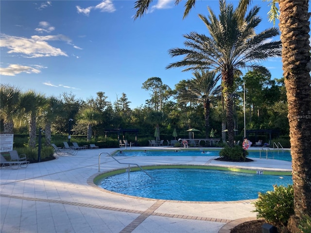 view of swimming pool with a patio area