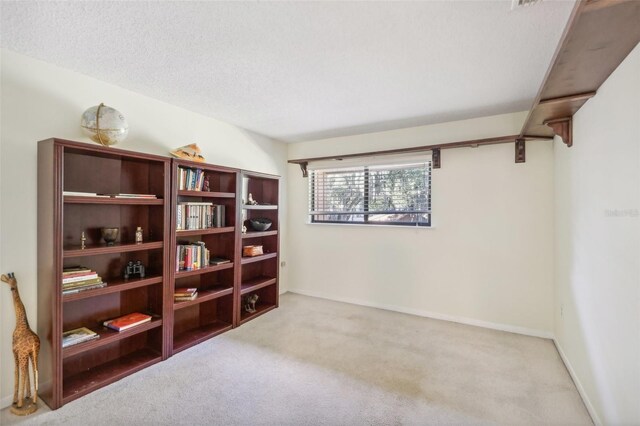 spare room featuring a textured ceiling and carpet floors