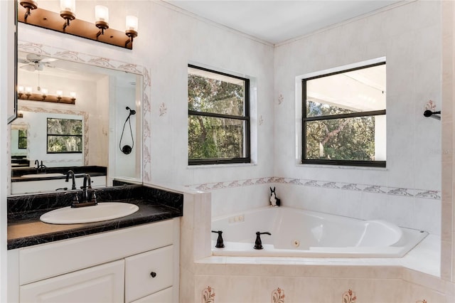 bathroom featuring vanity and independent shower and bath