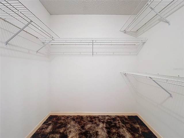 walk in closet featuring carpet