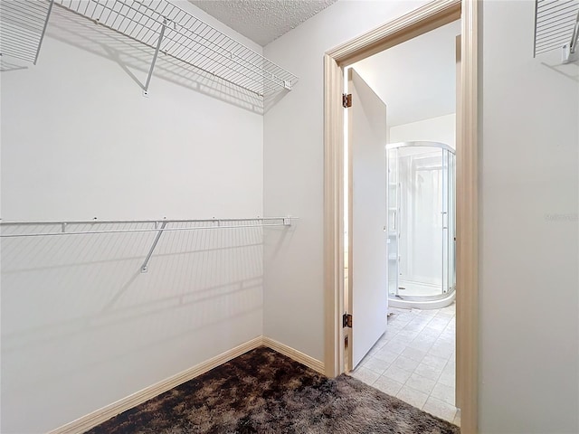 walk in closet with light carpet