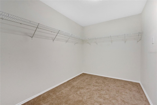 walk in closet with carpet