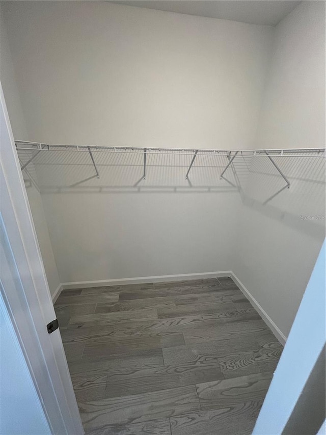 walk in closet featuring dark hardwood / wood-style floors