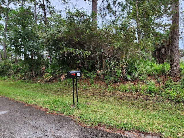 15 Slumber Meadow Trl, Palm Coast FL, 32164 land for sale