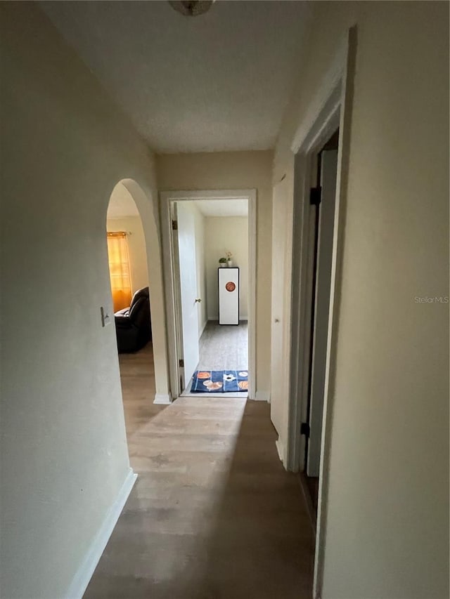 hallway featuring hardwood / wood-style floors