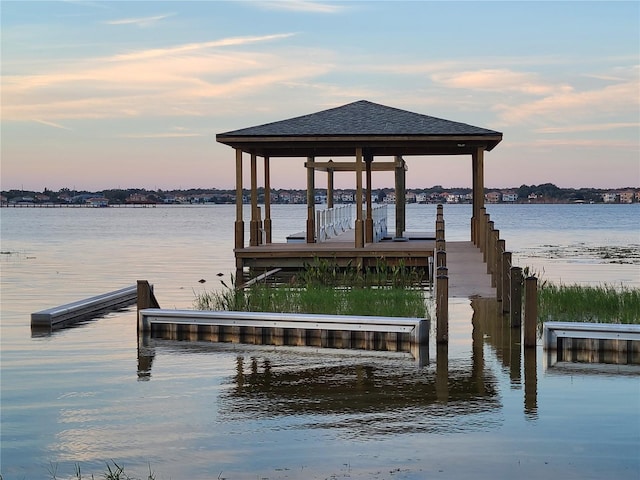 dock area with a water view