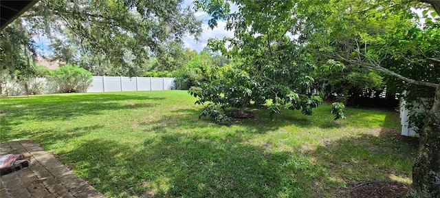 view of yard featuring a fenced backyard