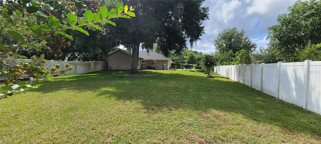 view of yard featuring a fenced backyard