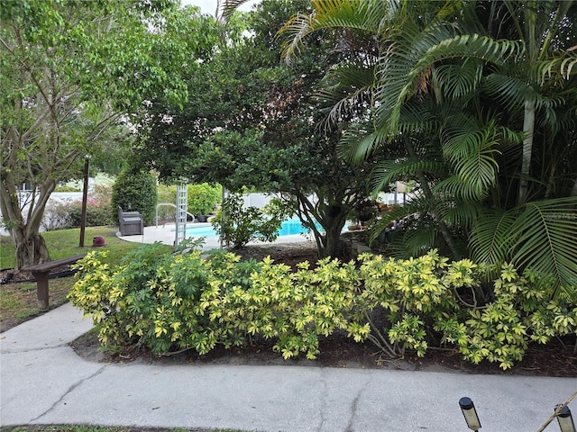 view of community with a swimming pool