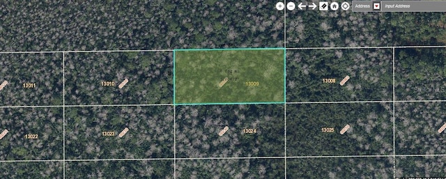 Dill Rd, Orlando, FL 32820 - photo 1