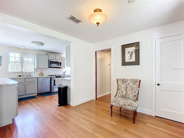 kitchen featuring sink, light hardwood / wood-style flooring, gray cabinets, stainless steel appliances, and decorative backsplash