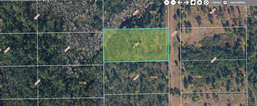 Fort Christmas Rd, Orlando, FL 32820 - photo 1