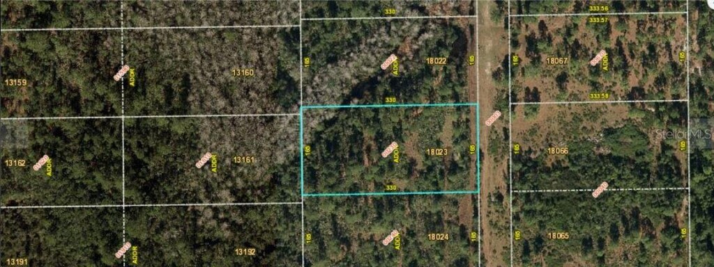 Fort Christmas Rd, Orlando, FL 32820 - photo 2