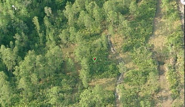 Fort Christmas Rd, Orlando, FL 32820 - photo 3