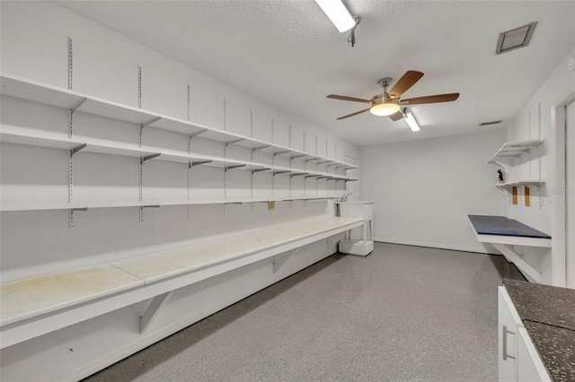 storage room featuring ceiling fan