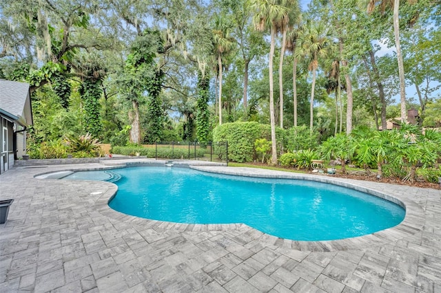 view of swimming pool with a patio area