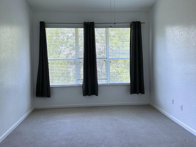 spare room featuring carpet and plenty of natural light