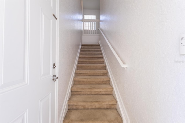 stairs featuring carpet floors