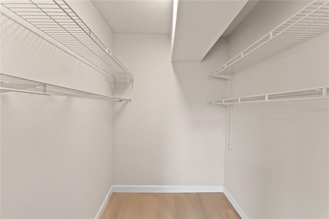 spacious closet with wood-type flooring